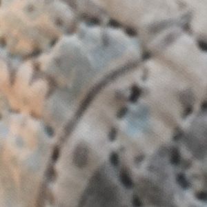 Meet your Posher, Sylvia